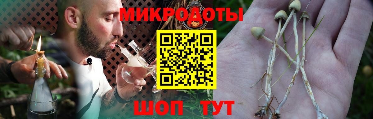 Галлюциногенные грибы Magic Shrooms Калач-на-Дону